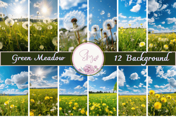 Green Meadow and Blue Sky Backgrounds: Your Design Canvas